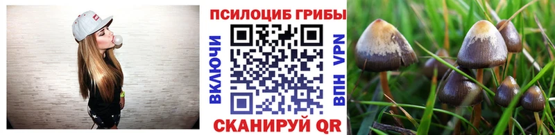MEGA зеркало  цены   Опочка  Галлюциногенные грибы Psilocybe 